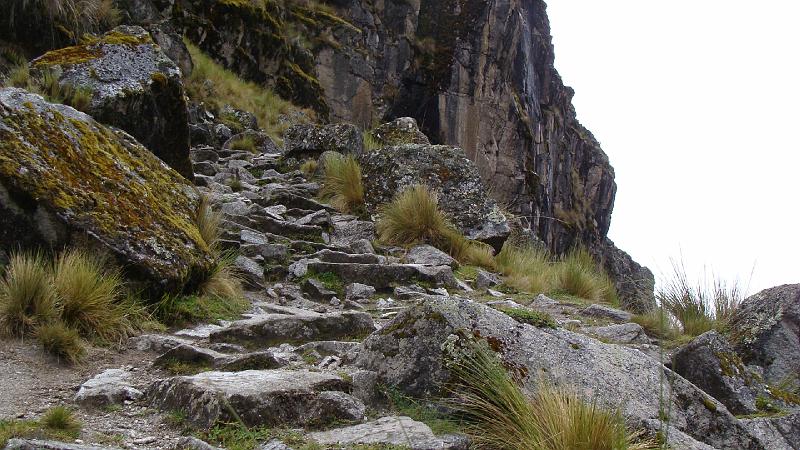 Illampu Trek Steves (71).JPG